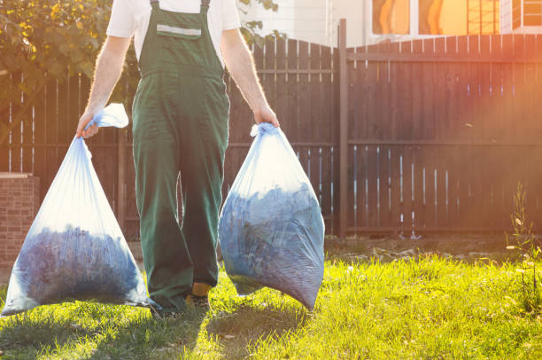Shed Removal in Watertown Town, MA